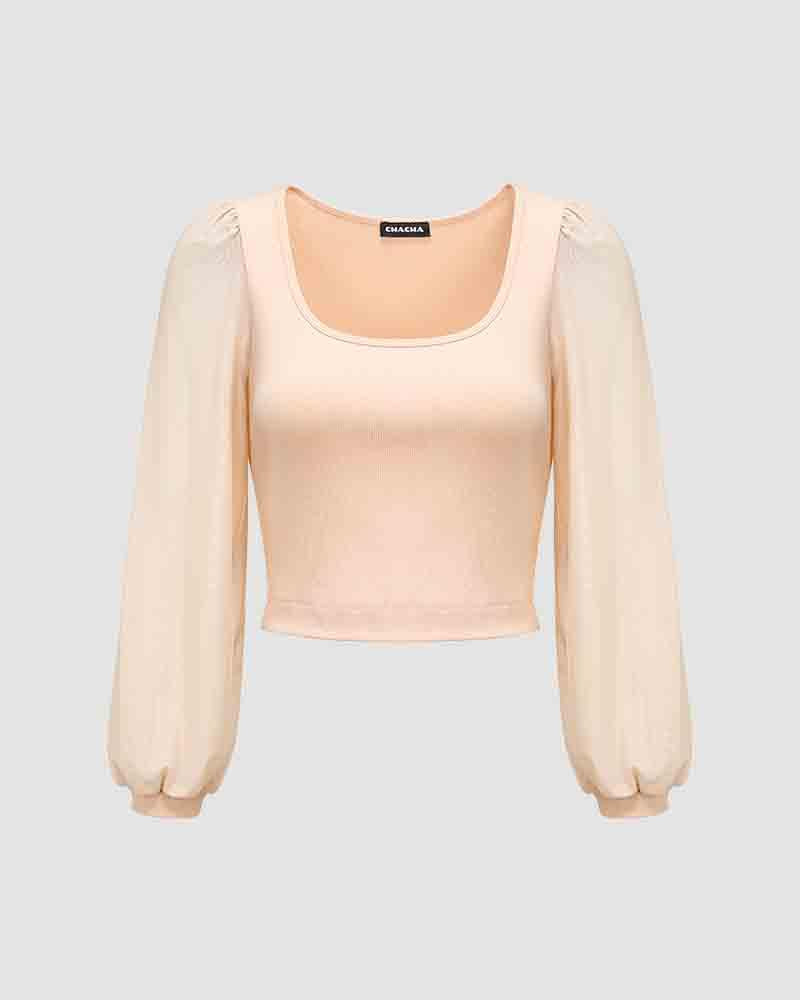 Rayelyn Scoop Neck Mesh Cropped Top