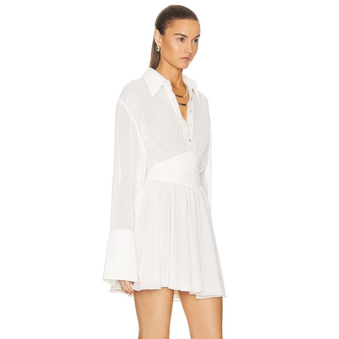 Delicate Dahlia Sheer Shirt Mini Dress